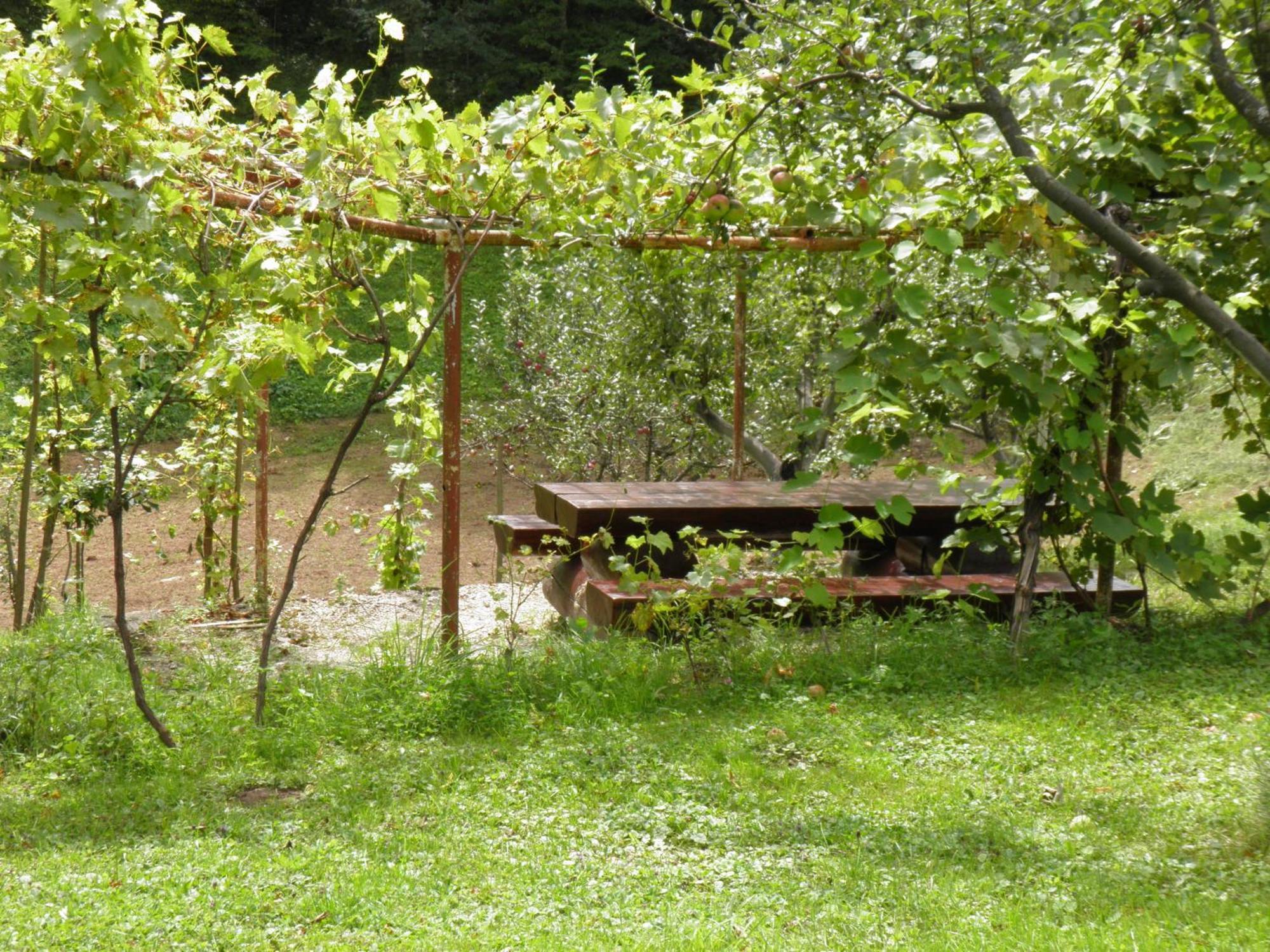 House Janja Plitvice Hotel Selište Drežničko Buitenkant foto