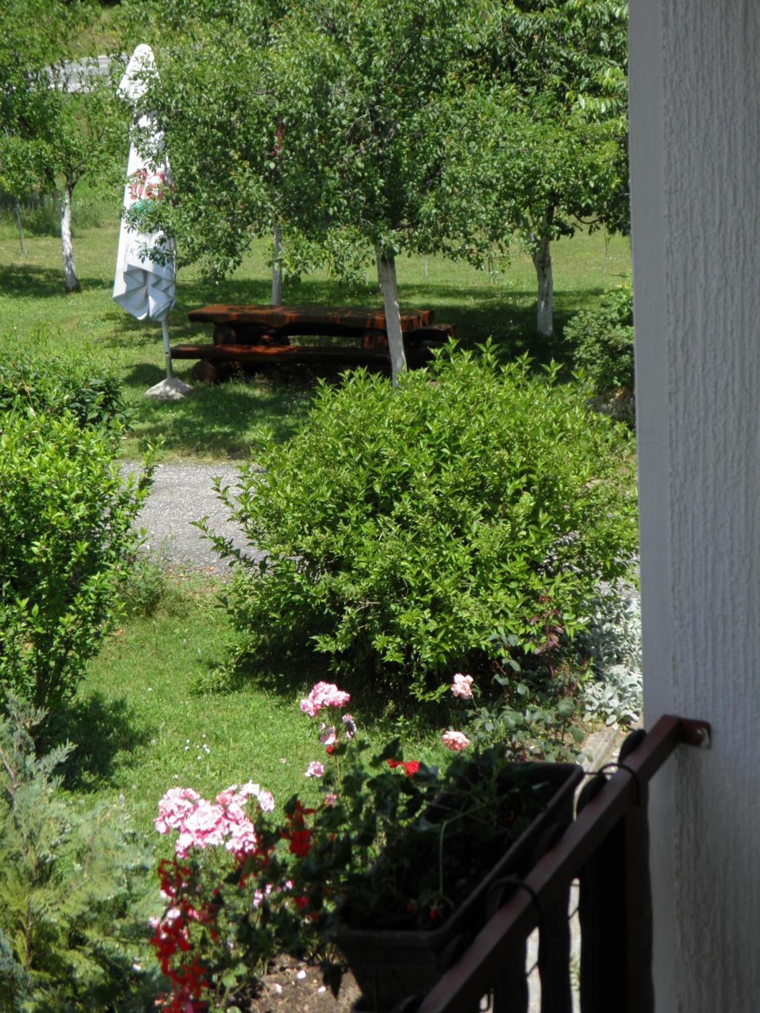 House Janja Plitvice Hotel Selište Drežničko Buitenkant foto