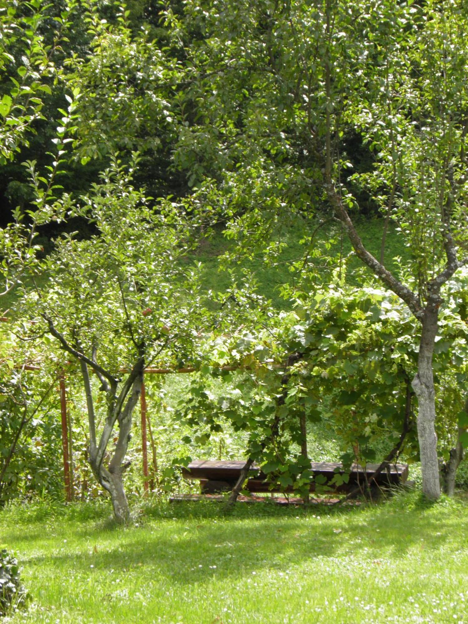 House Janja Plitvice Hotel Selište Drežničko Buitenkant foto
